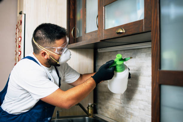 Best Local Pest Control Services  in Atkins, AR