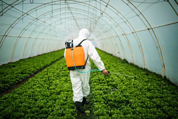 Best Mosquito Control Services  in Atkins, AR