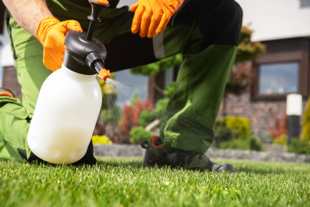 Best Affordable Pest Control Services  in Atkins, AR