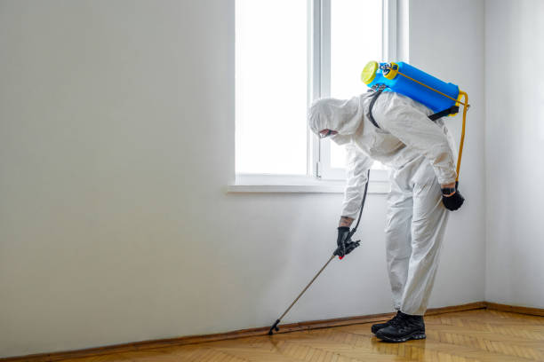 Best Bed Bug Extermination  in Atkins, AR