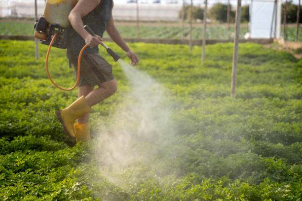 Best Pest Removal Services  in Atkins, AR