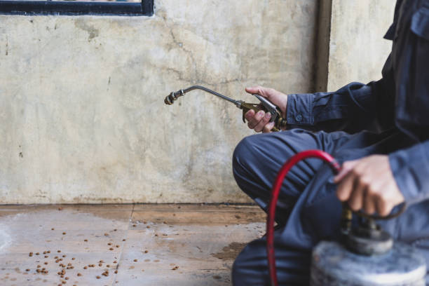 Best Pest Control Near Me  in Atkins, AR